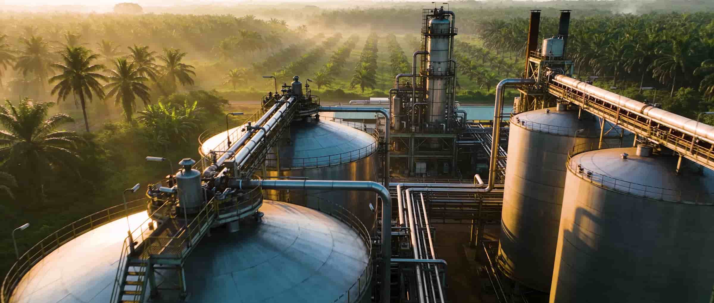 Jaggery plant